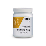 Pu gong ying 蒲公英